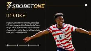 แทงบอล sbobetone คู่มือเข้าใจราคาบอลเบื้องต้นก่อนเลือกคู่